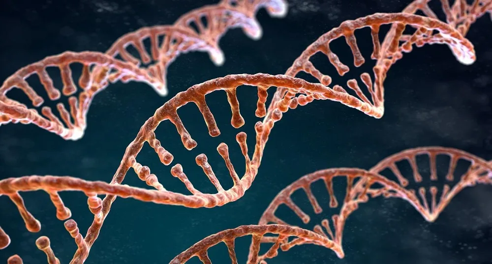 El ADN: clave para entender la salud y los orígenes personales