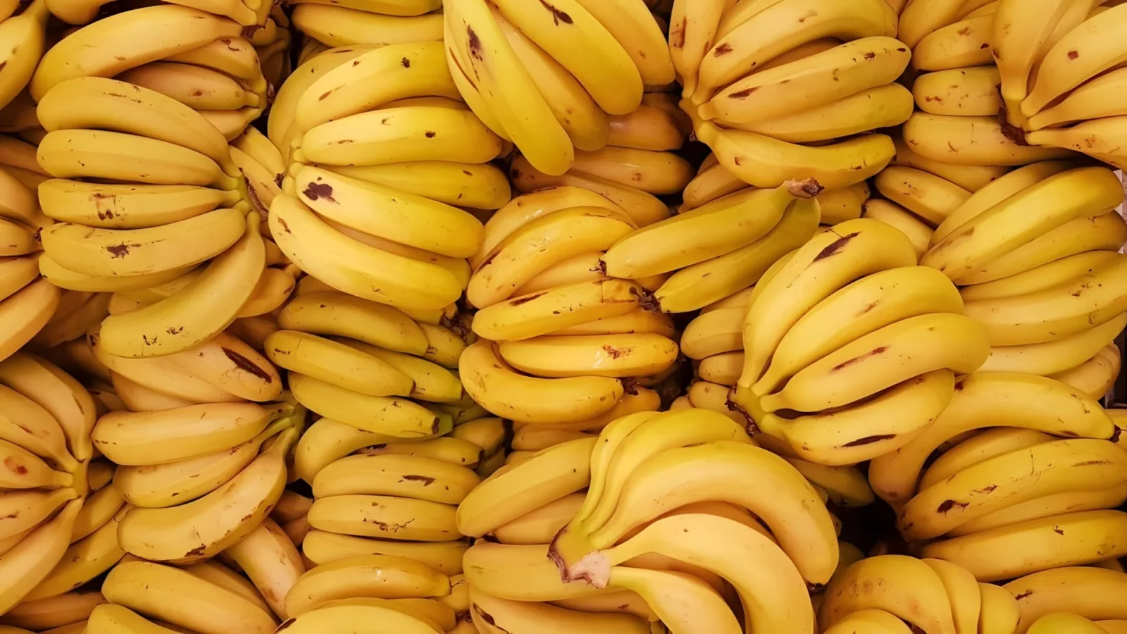 El plátano lidera el consumo de frutas en Perú con 26,4 kg por persona al año